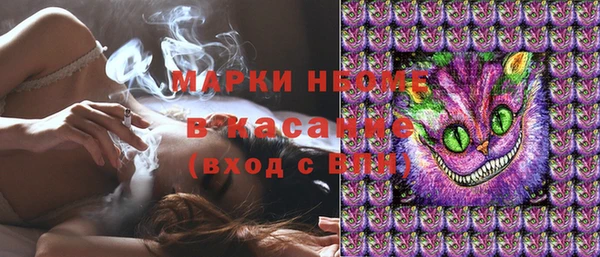 стафф Заволжск