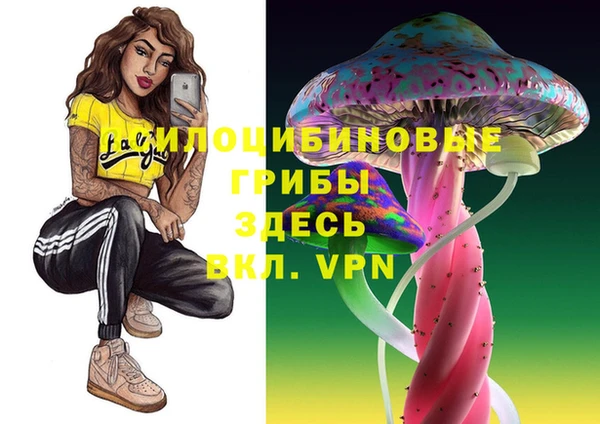 стафф Заволжск