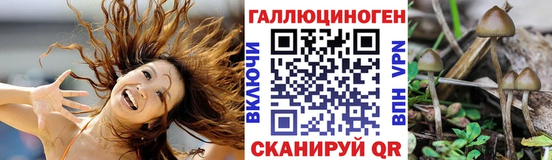 Купить закладки Исилькуль Псилоцибиновые грибы прущие грибы